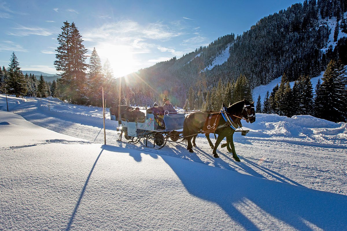 Pferdeschlittenfahrten in Filzmoos, Ski amadé