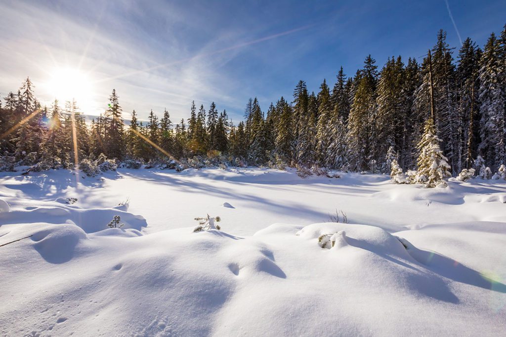 Winterurlaub in Filzmoos, Ski amadé